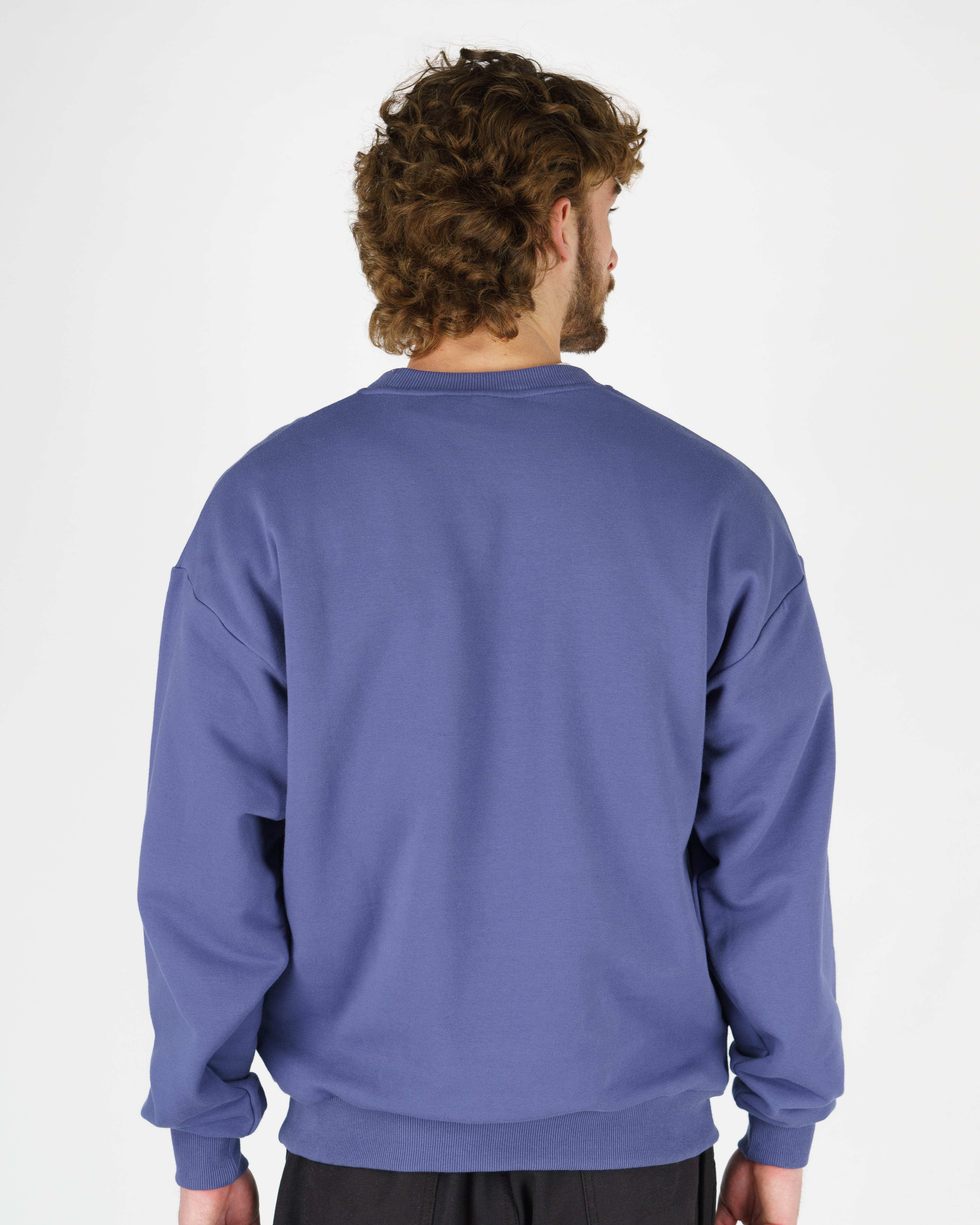 Dandy L/S Pullover Crewneck - Blue